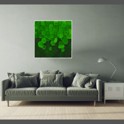 Moos Bild Deko - GREENIN Moosbild Drop-80x80